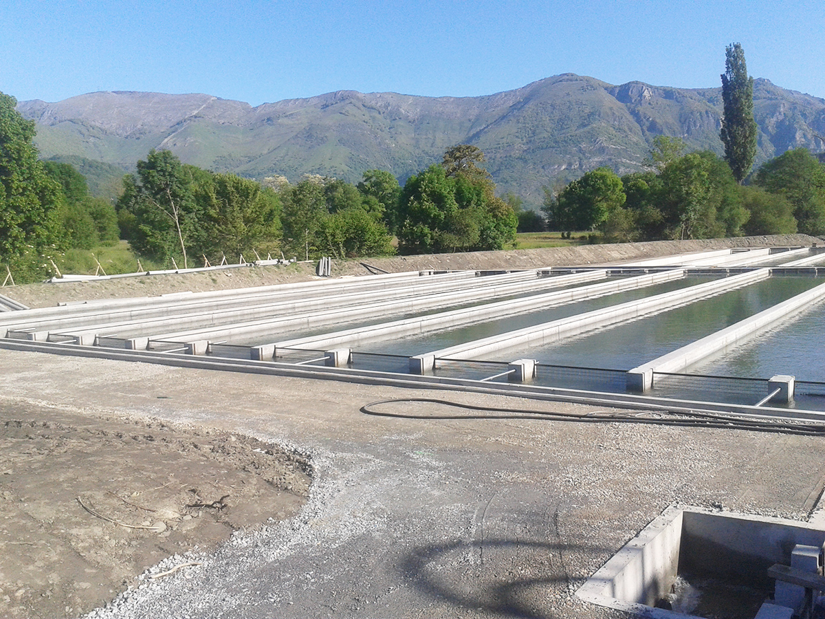 Piscifactoría – OBETP